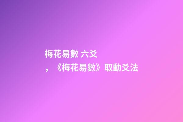 梅花易數 六爻，《梅花易數》取動爻法